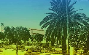 tlemcen   (8)